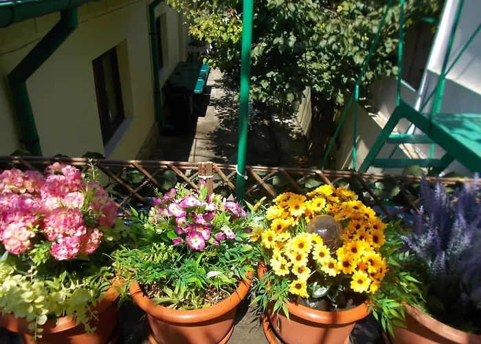 Casa Vlad * Constanta