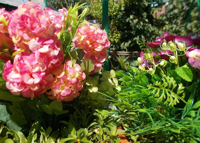 Holiday home Casa Vlad