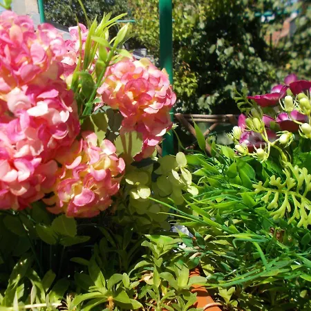 Prázdninový dům Casa Vlad