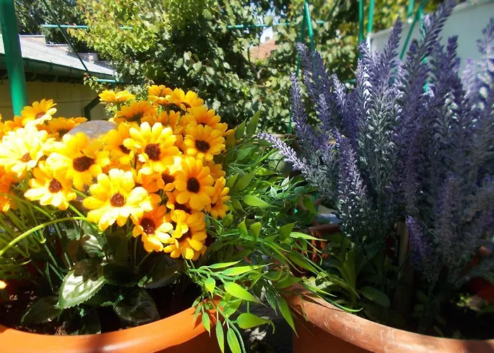 Casa Vlad Constanţa