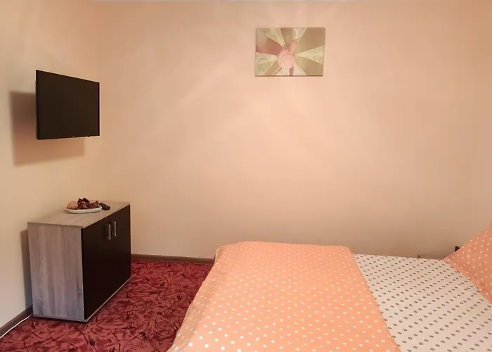 Hébergement de vacances Casa Vlad *