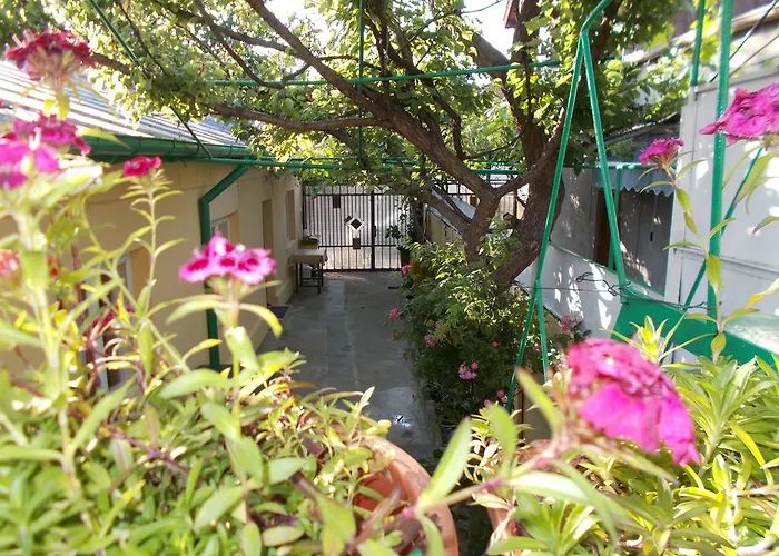 Hébergement de vacances Casa Vlad Constanţa